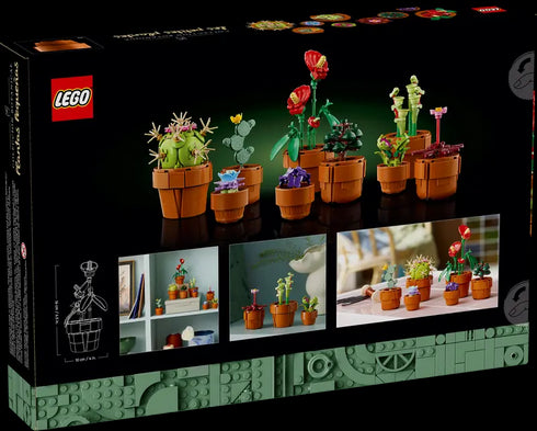 Mini plants 10329